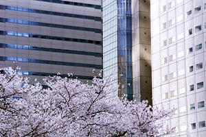 「BELS対策完全ガイド：省エネ住宅を実現するための必須知識と手続き」