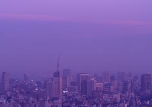 絶好のロケーションなコンドミニアム