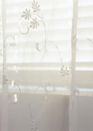 ペット可の別府にある賃貸物件について